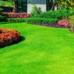 Greener Grass Landscaping