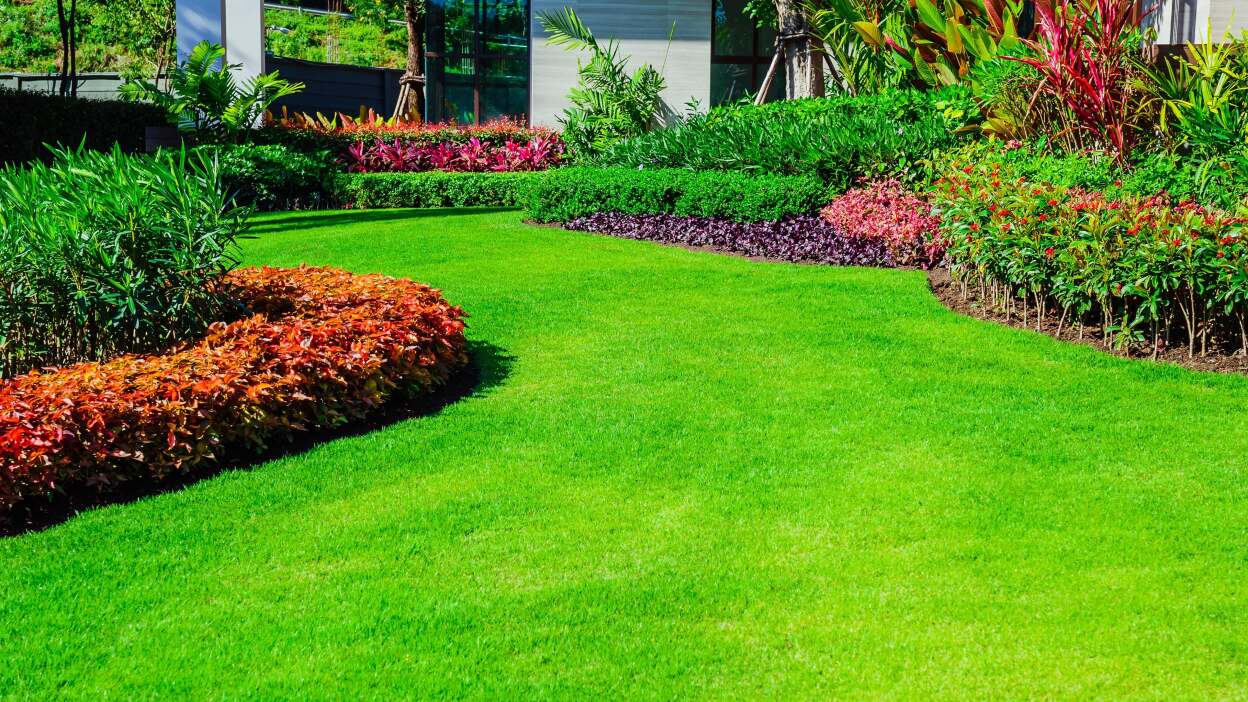 Greener Grass Landscaping